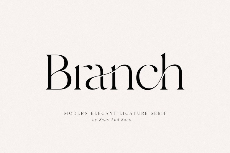 Branch Sans Serif typeface preview for Typography, Web Design