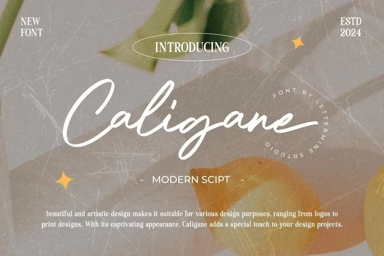Caligane Sans Serif typeface preview for Typography, Web Design