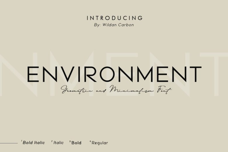 Environment Sans Serif typeface preview for Typography, Web Design
