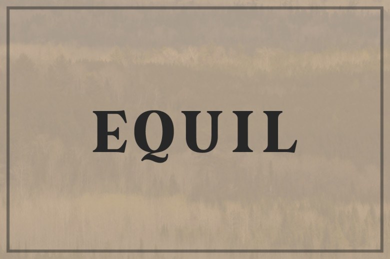 Equil Sans Serif typeface preview for Typography, Web Design
