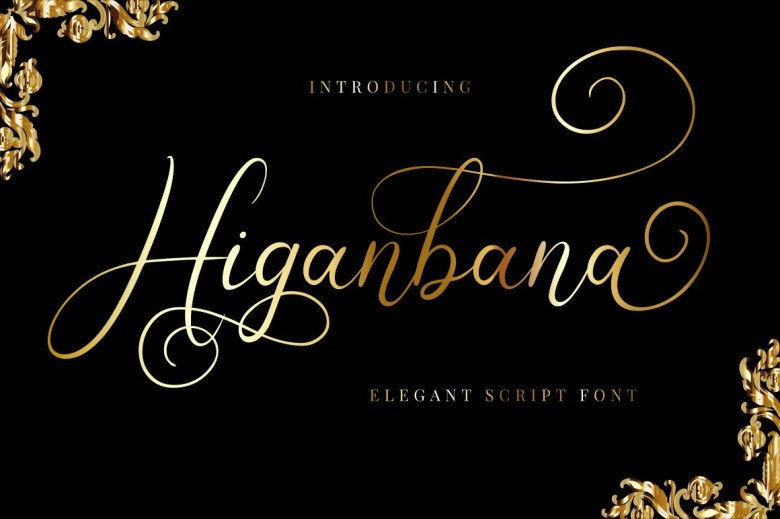 Higanbana Sans Serif typeface preview for Typography, Web Design