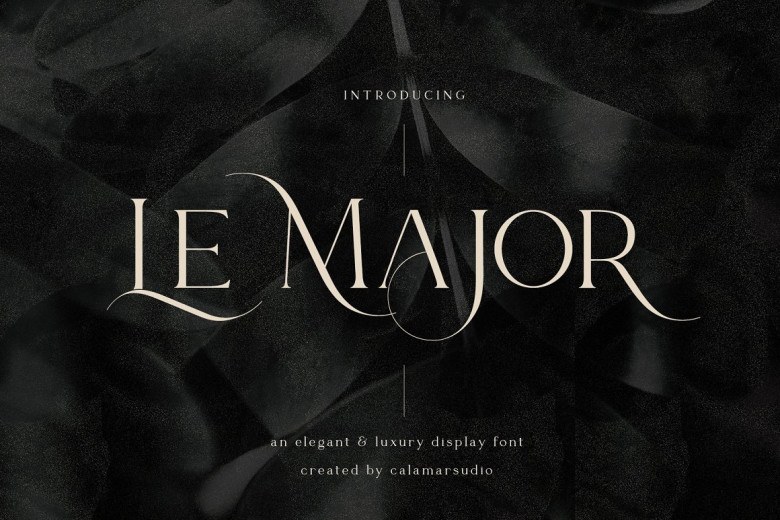 Le Major Sans Serif typeface preview for Typography, Web Design