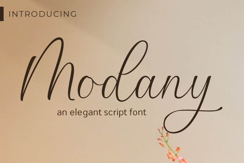 Modany Sans Serif typeface preview for Typography, Web Design