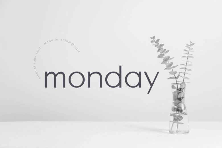 Monday Sans Sans Serif typeface preview for Typography, Web Design