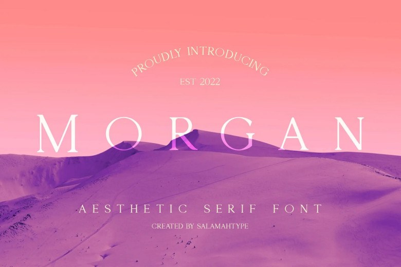 Morgan Sans Serif typeface preview for Typography, Web Design