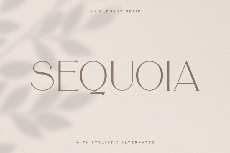 Sequoia Sans Serif typeface preview for Typography, Web Design