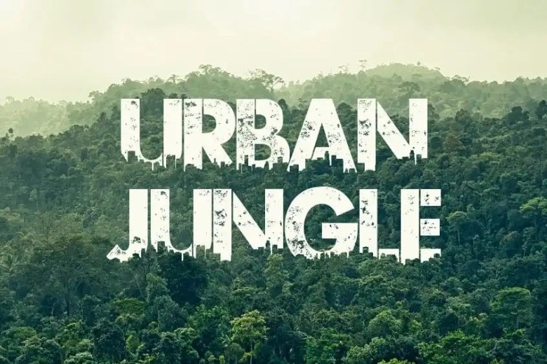 Urban Jungle Sans Serif typeface preview for Typography, Web Design
